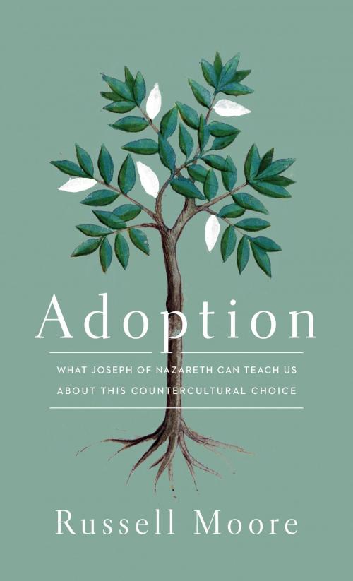 Cover of the book Adoption by Russell Moore, Crossway