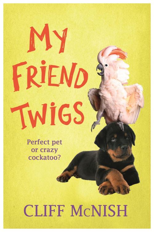 Cover of the book My Friend Twigs by Cliff McNish, Hachette Children's