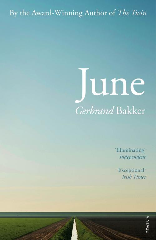 Cover of the book June by Gerbrand Bakker, Random House
