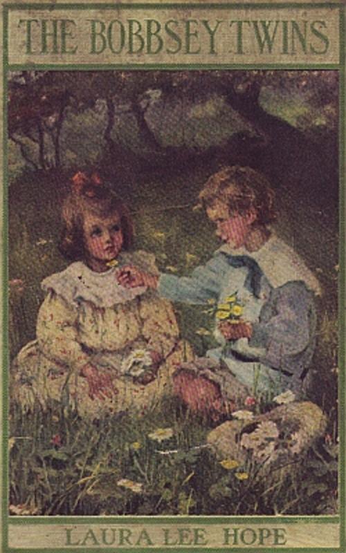 Cover of the book The Bobbsey Twins on Blueberry Island by Hope, Laura Lee, B&R Samizdat Express