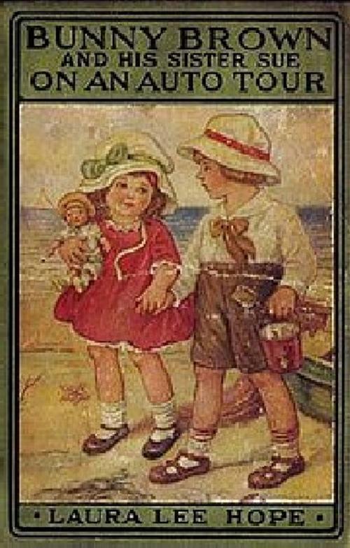 Cover of the book The Outdoor Girls at Ocean View, Or the Box that was Found in the Sand by Hope, Laura Lee, B&R Samizdat Express