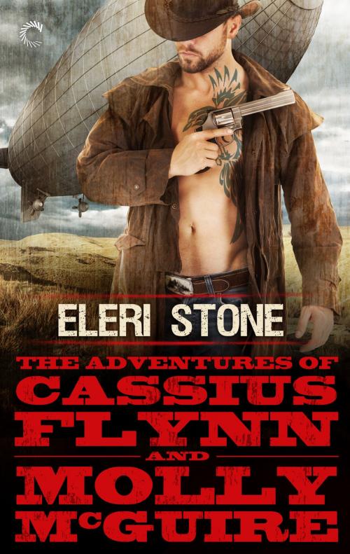 Cover of the book The Adventures of Cassius Flynn and Molly McGuire by Eleri Stone, Carina Press