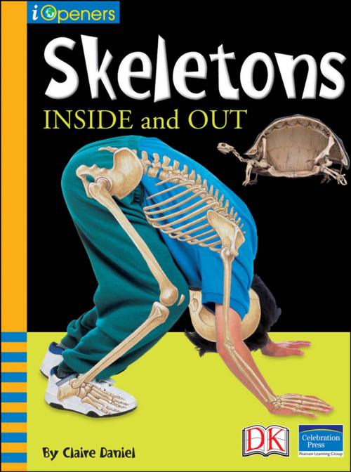 Cover of the book iOpener: Skeletons Inside and Out by Claire Daniel, DK Publishing
