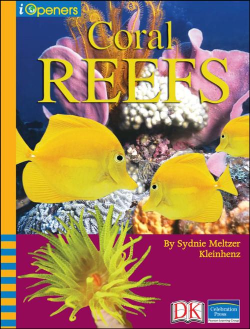 Cover of the book iOpener: Coral Reefs by Sydnie Meltzer Kleinhenz, DK Publishing