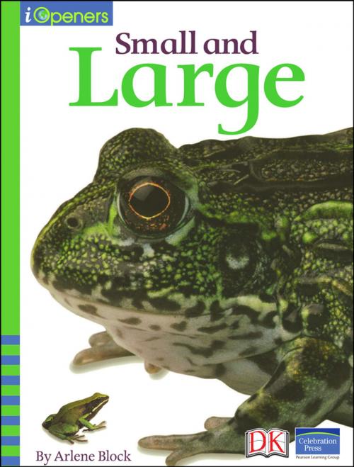 Cover of the book iOpener: Small and Large by Arlene Block, DK Publishing