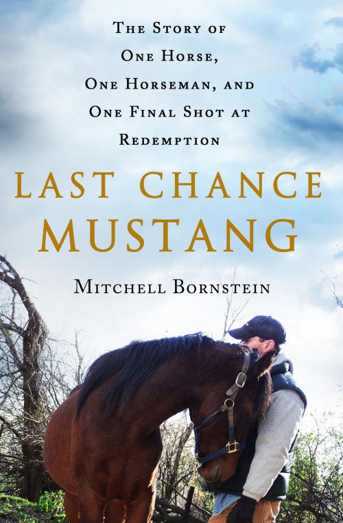 Cover of the book Last Chance Mustang by Mitchell Bornstein, St. Martin's Press