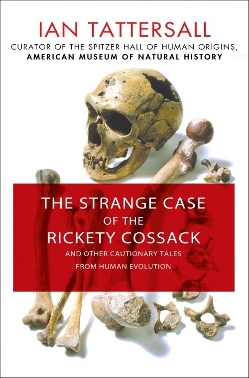 Cover of the book The Strange Case of the Rickety Cossack by Ian Tattersall, St. Martin's Press