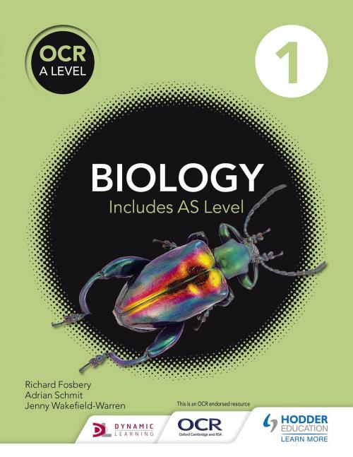 Cover of the book OCR A Level Biology Student Book 1 by Adrian Schmit, Richard Fosbery, Jenny Wakefield-Warren, Hodder Education