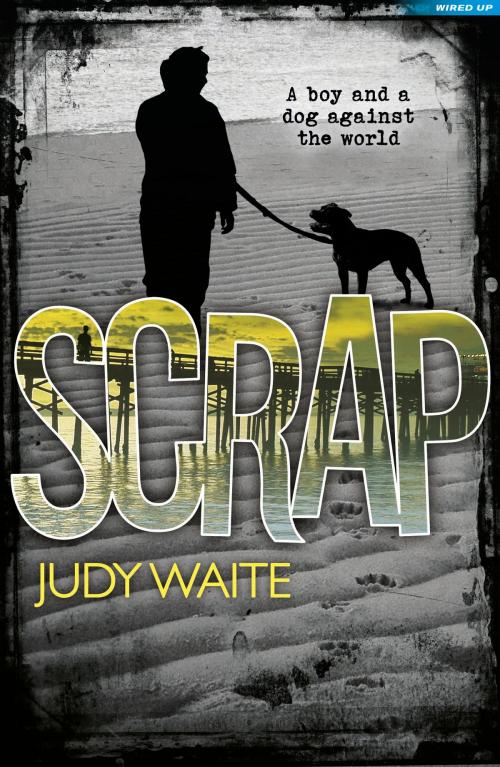 Cover of the book Scrap by Judy Waite, Bloomsbury Publishing