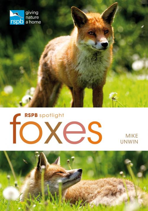 Cover of the book RSPB Spotlight: Foxes by Mike Unwin, Bloomsbury Publishing