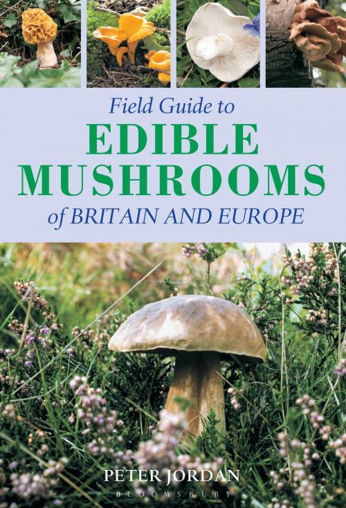 Cover of the book Field Guide To Edible Mushrooms Of Britain And Europe by Peter Jordan, Bloomsbury Publishing