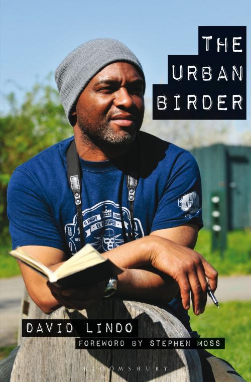 Cover of the book The Urban Birder by David Lindo, Mr Stephen Moss, Bloomsbury Publishing