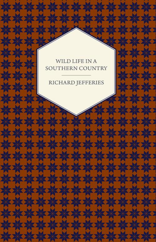 Cover of the book Wild Life in a Southern Country by Richard Jefferies, Read Books Ltd.
