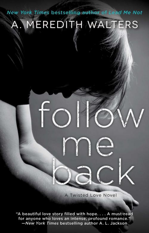 Cover of the book Follow Me Back by A. Meredith Walters, Gallery Books