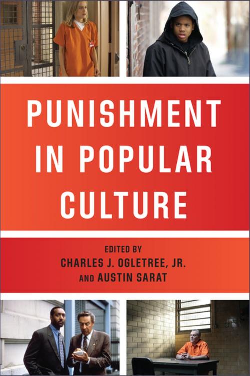 Cover of the book Punishment in Popular Culture by Austin Sarat, NYU Press