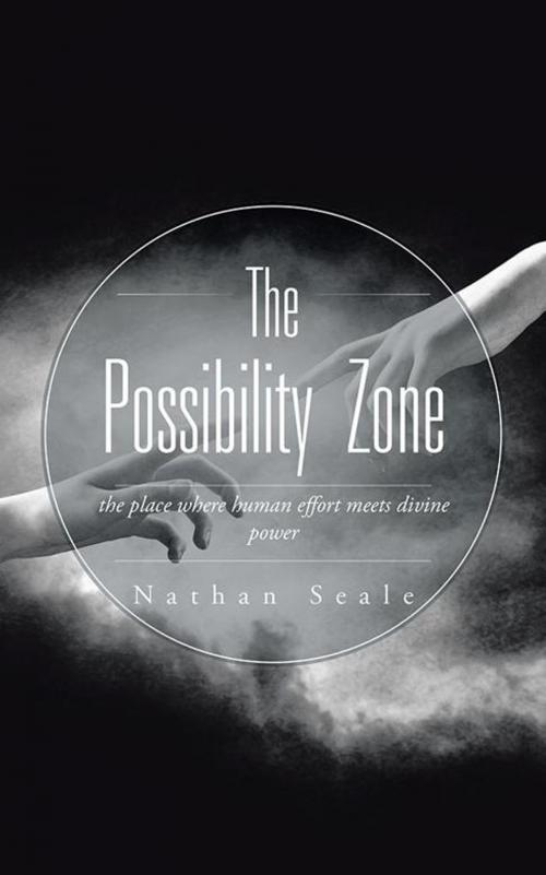 Cover of the book The Possibility Zone by Nathan Seale, Partridge Publishing Africa