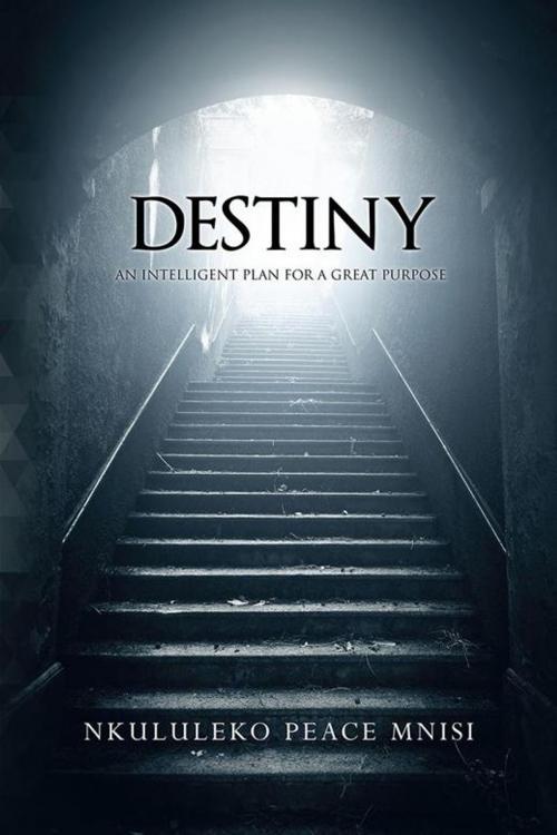 Cover of the book Destiny by Nkululeko Peace Mnisi, Partridge Publishing Africa