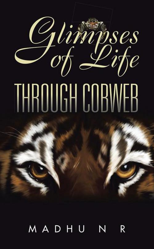 Cover of the book Glimpses of Life Through Cobweb by Madhu N R, Partridge Publishing India