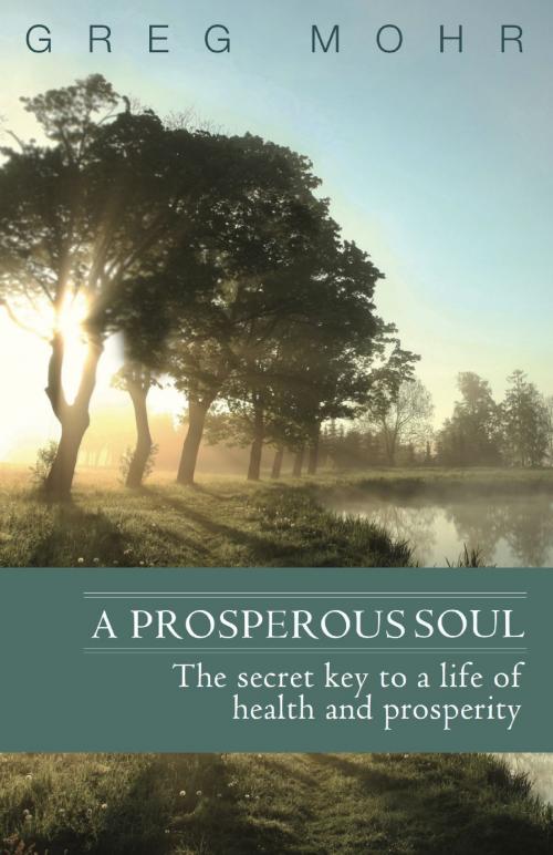 Cover of the book A Prosperous Soul by Greg Mohr, BookBaby