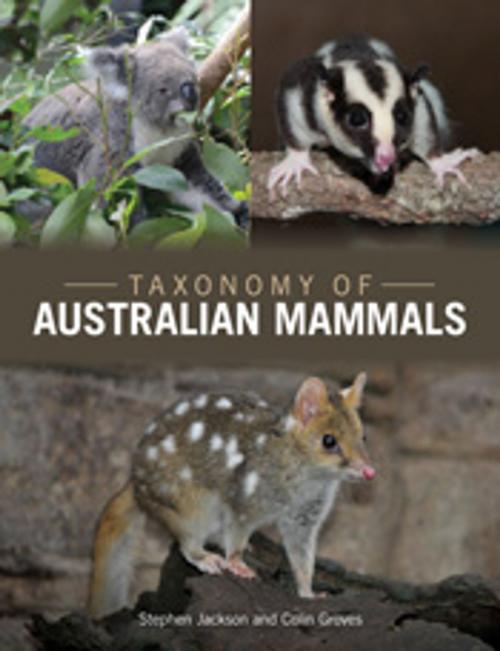 Cover of the book Taxonomy of Australian Mammals by Stephen Jackson, Colin  Groves, CSIRO PUBLISHING
