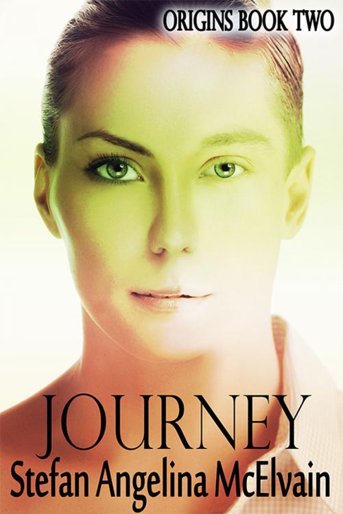 Cover of the book Journey by Stefan Angelina McElvain, eXtasy Books Inc