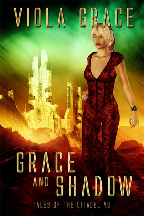 Cover of the book Grace and Shadow by Viola Grace, eXtasy Books Inc