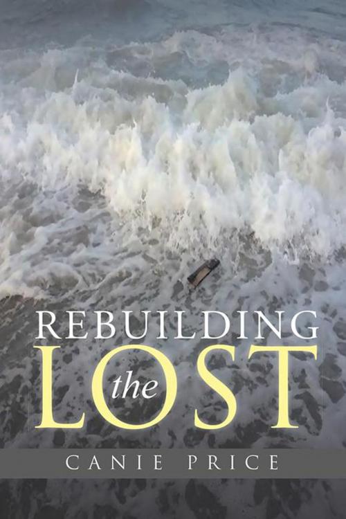 Cover of the book Rebuilding the Lost by Canie Price, WestBow Press