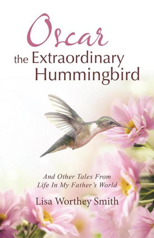 Cover of the book Oscar the Extraordinary Hummingbird by Lisa Worthey Smith, WestBow Press