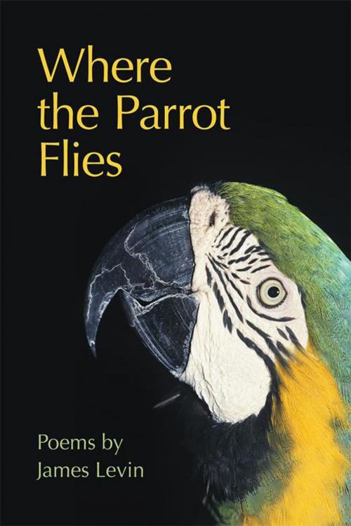 Cover of the book Where the Parrot Flies by James Levin, iUniverse