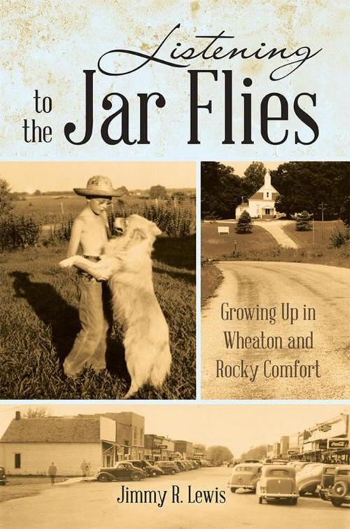 Cover of the book Listening to the Jar Flies by Jimmy R. Lewis, iUniverse
