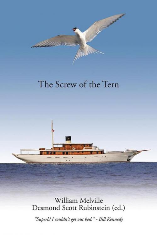 Cover of the book The Screw of the Tern by William Melville, Desmond Scott, iUniverse