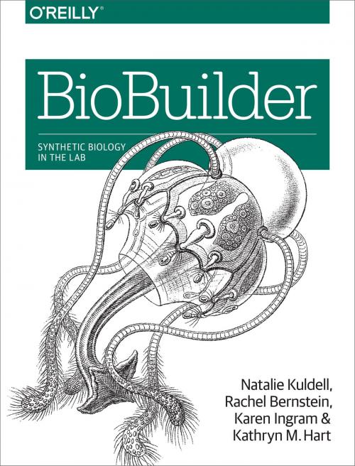 Cover of the book BioBuilder by Natalie Kuldell PhD., Rachel Bernstein, Karen Ingram, Kathryn M Hart, O'Reilly Media