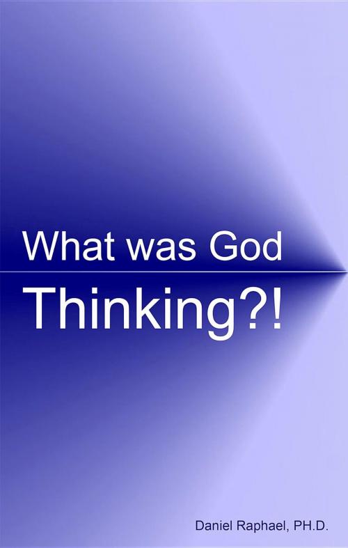 Cover of the book What Was God Thinking?! by Daniel Raphael, Daniel Raphael Consulting
