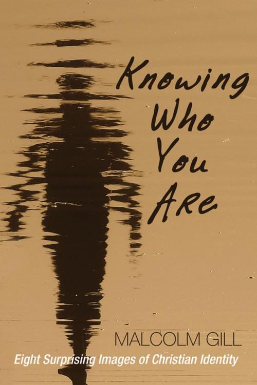 Cover of the book Knowing Who You Are by Malcolm Gill, Wipf and Stock Publishers