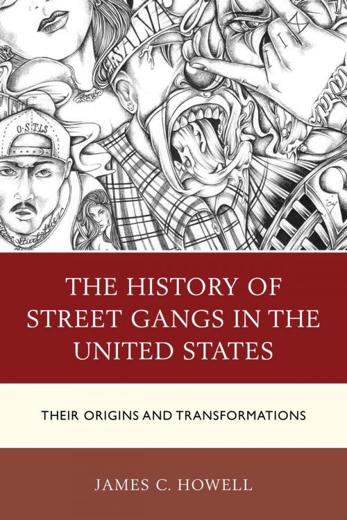 Cover of the book The History of Street Gangs in the United States by James C. Howell, Lexington Books