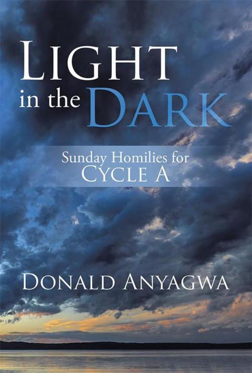 Cover of the book Light in the Dark by Donald Anyagwa, Xlibris UK
