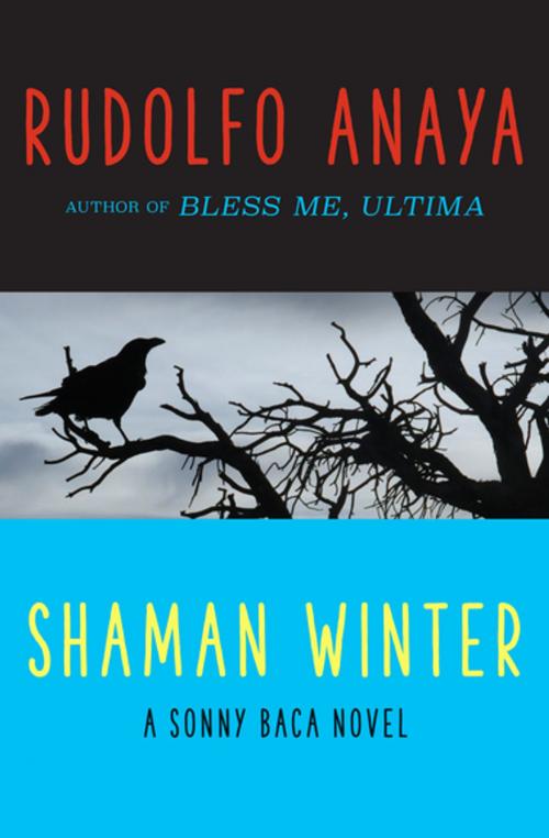 Cover of the book Shaman Winter by Rudolfo Anaya, Open Road Media