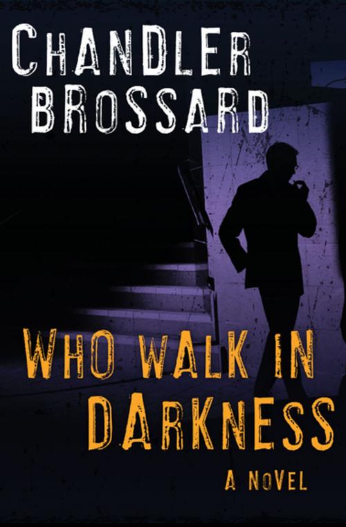 Cover of the book Who Walk in Darkness by Chandler Brossard, Open Road Media