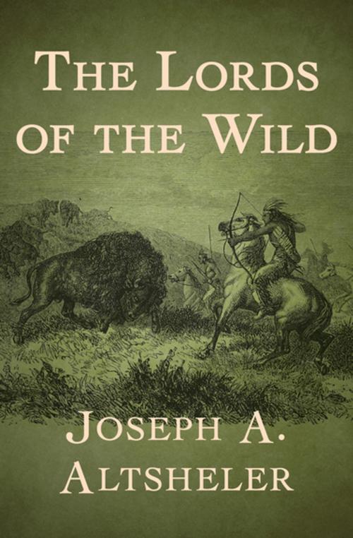 Cover of the book The Lords of the Wild by Joseph A. Altsheler, Open Road Media