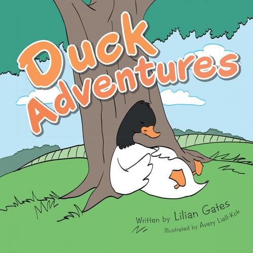 Cover of the book Duck Adventures by Lilian Gates, AuthorHouse UK