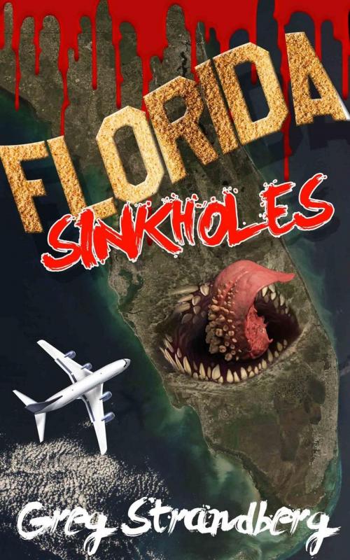 Cover of the book Florida Sinkholes by Greg Strandberg, Greg Strandberg