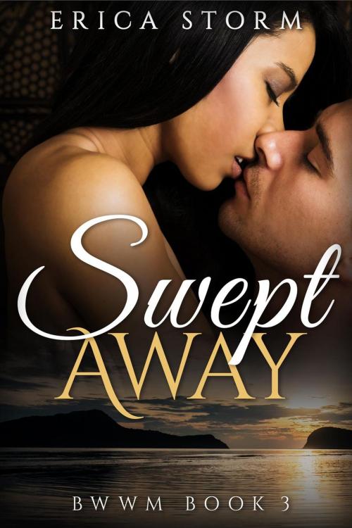 Cover of the book Swept Away book 3 by Erica Storm, Erica Storm