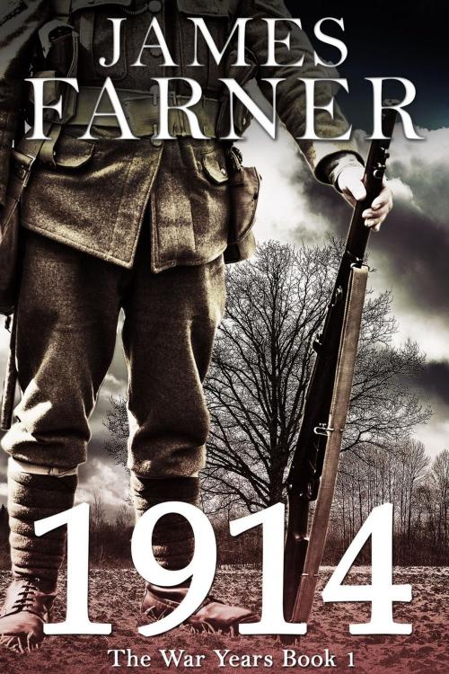 Cover of the book 1914 by James Farner, James Farner