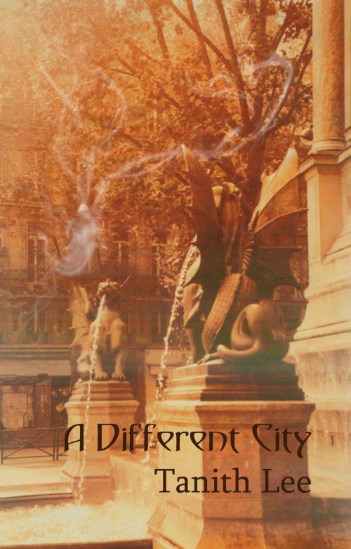 Cover of the book A Different City by Tanith Lee, Immanion Press