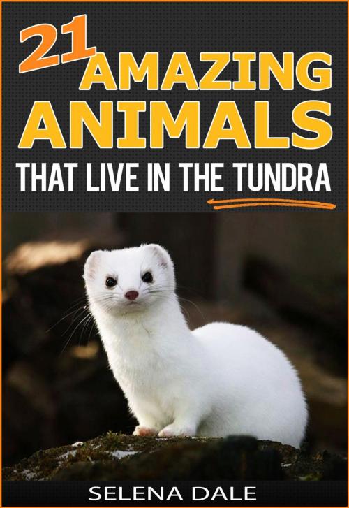 Cover of the book 21 Amazing Animals That Live In The Tundra by Selena Dale, Selena Dale