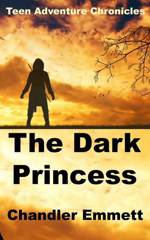 Cover of the book The Dark Princess by Chandler Emmett, Forget Me Not Publications