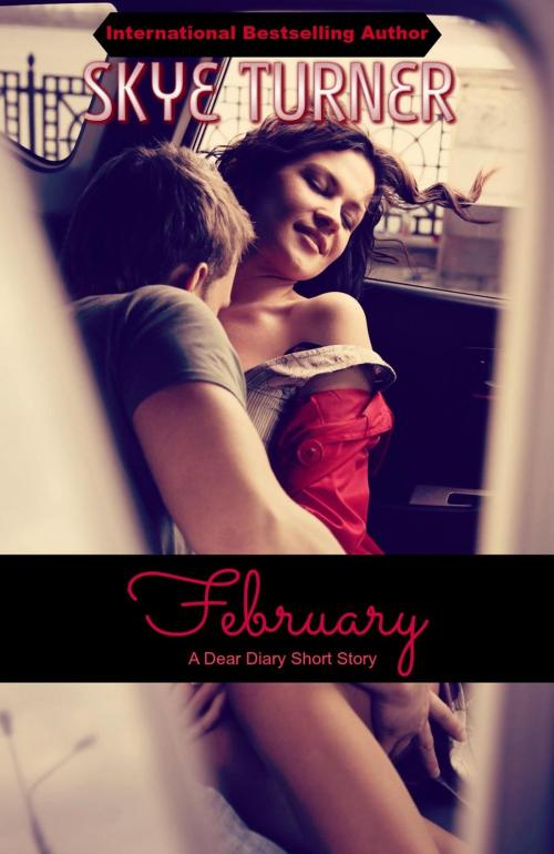 Cover of the book February by Skye Turner, Skye Turner