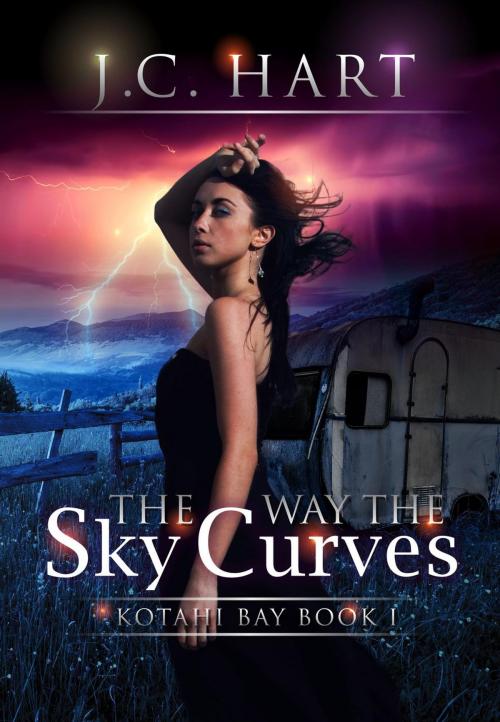 Cover of the book The Way the Sky Curves by J.C. Hart, J.C. Hart