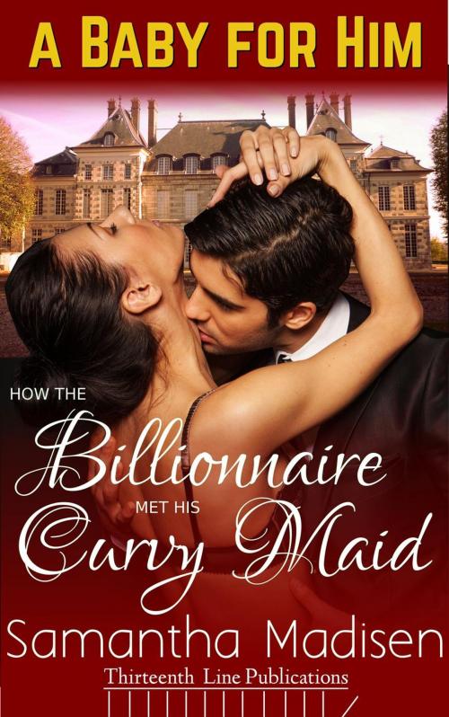 Cover of the book How the Billionaire met his Curvy Maid by Samantha Madisen, Thirteenth Line Publications
