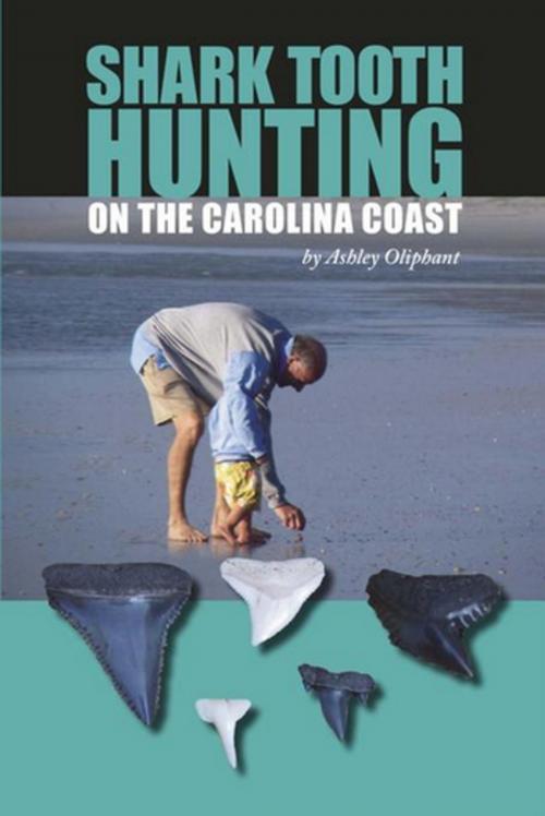 Cover of the book Shark Tooth Hunting on the Carolina Coast by Ashley Oliphant, Pineapple Press